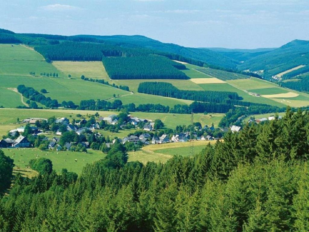 In Auf Der Wallme 24 Apartment Winterberg